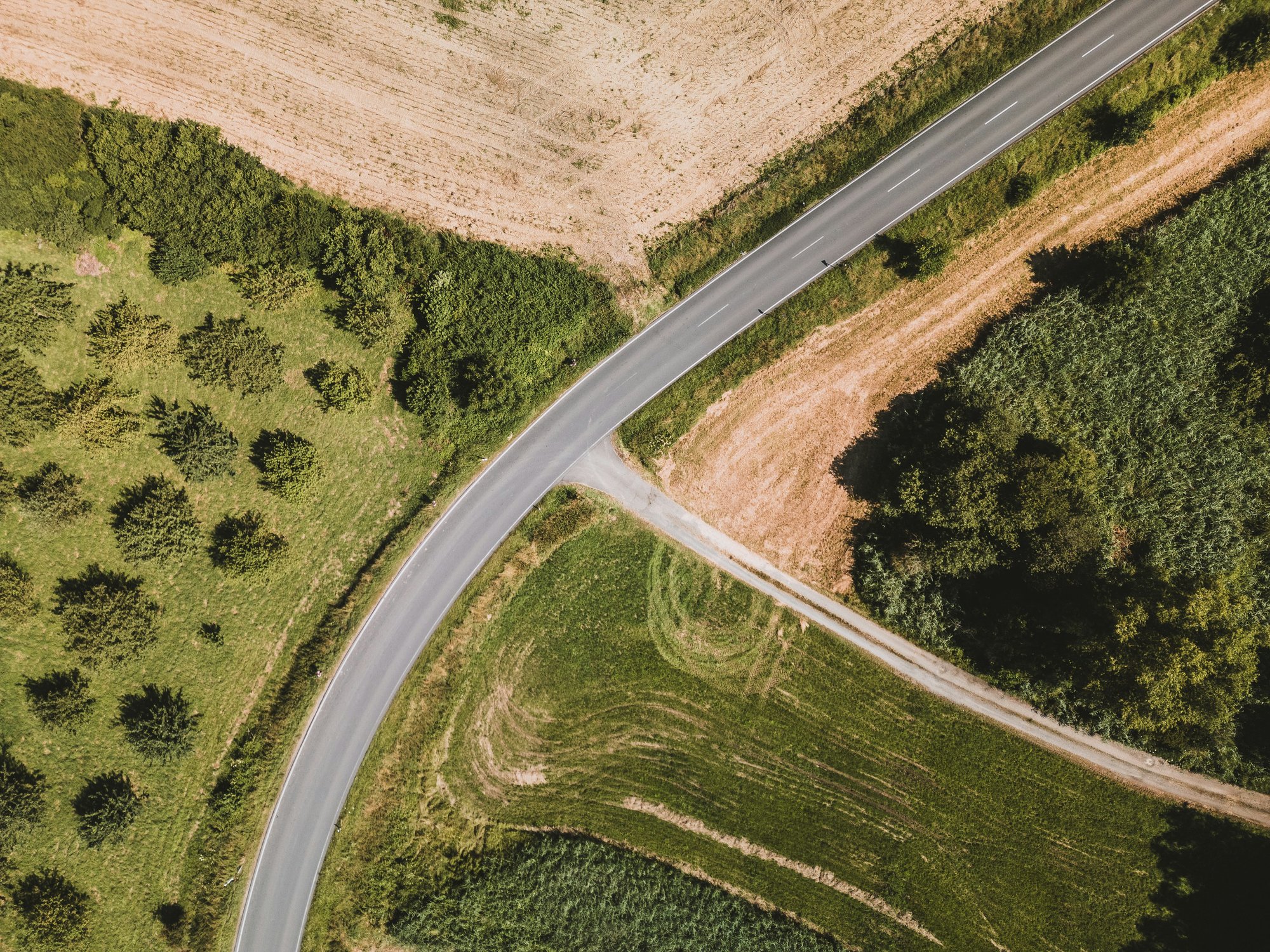 timon-reinhard-25WRVmXFzTs-unsplash timon-reinhard-25WRVmXFzTs-unsplash